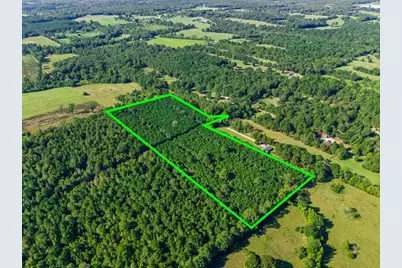 Tbd Cat Road, Gilmer, TX 75644 - Photo 17