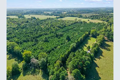 Tbd Cat Road, Gilmer, TX 75644 - Photo 11