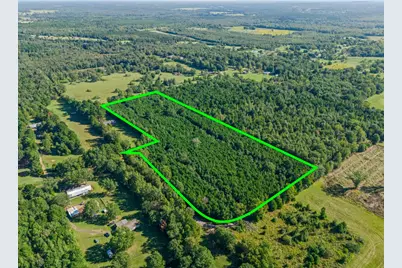 Tbd Cat Road, Gilmer, TX 75644 - Photo 13