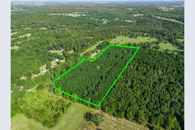 Tbd Cat Road, Gilmer, TX 75644 - Photo 15