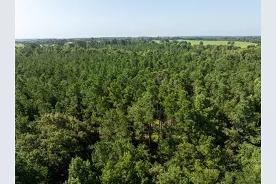 Nw County Road 1713, Jacksonville, TX 75766 - Photo 13