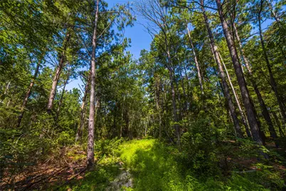Nw County Road 1713, Jacksonville, TX 75766 - Photo 17
