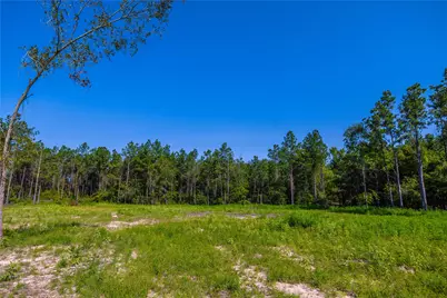 Nw County Road 1713, Jacksonville, TX 75766 - Photo 5
