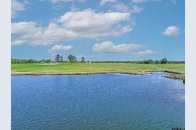 973 County Road 1604, Grand Saline, TX 75140 - Photo 17