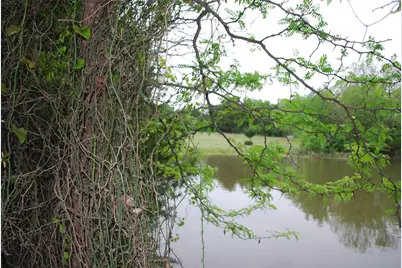 232 Terry Lane, Heath, TX 75032 - Photo 3