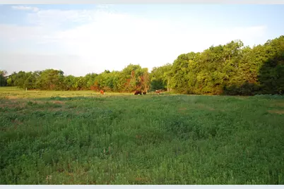 337 Smirl Lane, Heath, TX 75032 - Photo 3