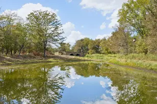 244 Longhorn Trail, Royse City, TX 75189 - Photo 23