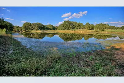 Tbd Alamo Road, Bowie, TX 76230 - Photo 5