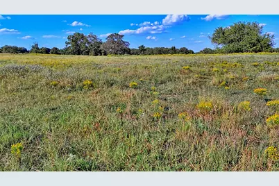 Tbd Alamo Road, Bowie, TX 76230 - Photo 19