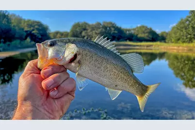 Tbd Alamo Road, Bowie, TX 76230 - Photo 23