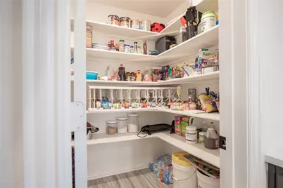 297 Sparkling Springs Drive, Waxahachie, TX 75165 - Photo 9