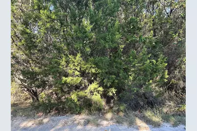 2523 Lakeridge Drive, Granbury, TX 76048 - Photo 5