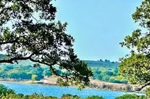 347 Pine Rd, Nocona, TX 76255 - Photo 17