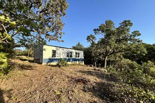 347 Pine Rd, Nocona, TX 76255 - Photo 5