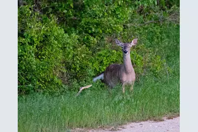 347 Pine Road, Nocona, TX 76255 - Photo 19