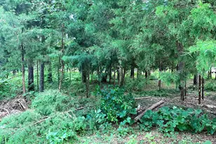 114 Barkley Rd, Bullard, TX 75757 - Photo 9