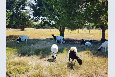 1654 Hash Road, Lancaster, TX 75146 - Photo 11