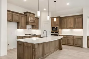 2824 Spg Vly Wy, Anna, TX 75409 - Photo 19