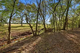 1860 Plum Creek Dr, Midlothian, TX 76065 - Photo 39