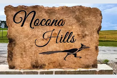 125 Comanche Trail, Nocona, TX 76255 - Photo 11