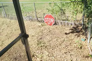 10185 Gaillard Lake, Wills Point, TX 75169 - Photo 7