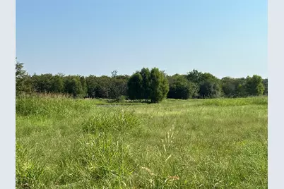 Tbd County Road 4145, Cooper, TX 75432 - Photo 15