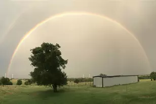 1332 Co Rd 423, Muenster, TX 76252 - Photo 7