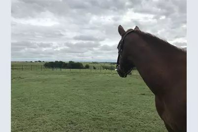 1332 County Road 423, Muenster, TX 76252 - Photo 11