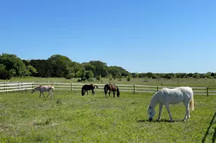 3164 Clater Powell Rd, Waco, TX 76705 - Photo 33