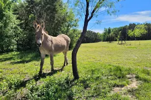 3164 Clater Powell Rd, Waco, TX 76705 - Photo 35
