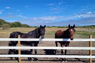 3164 Clater Powell Rd, Waco, TX 76705 - Photo 15