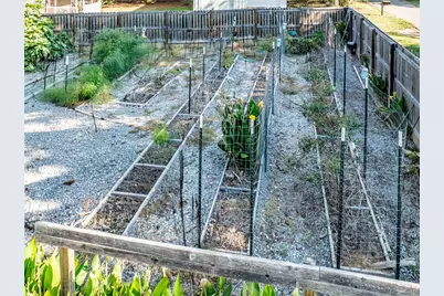 25 Cooper Lane, Pottsboro, TX 75076 - Photo 15