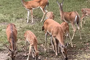 3667 Oak Cir, Weatherford, TX 76088 - Photo 7