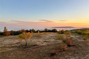 467 Weatherby Wy, Santo, TX 76472 - Photo 1