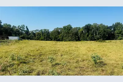 Tbd Fm 2909, Canton, TX 75103 - Photo 5