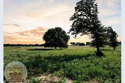 Lot 54 Camden Lane, Springtown, TX 76082 - Photo 1