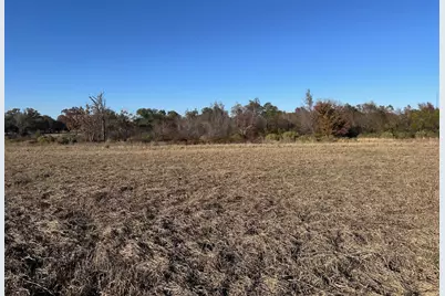 5517 Pr 5107, Athens, TX 75752 - Photo 3