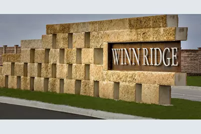 917 Waggoner Drive, Aubrey, TX 76227 - Photo 33