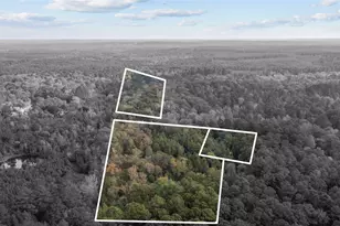 530 An County Road 1215, Grapeland, TX 75844 - Photo 27