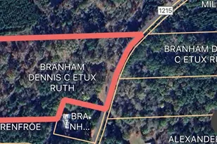 530 An County Road 1215, Grapeland, TX 75844 - Photo 31