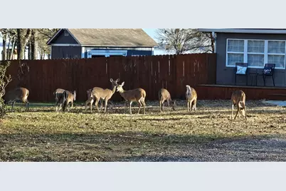 204 Lakeside Drive, West Tawakoni, TX 75474 - Photo 9