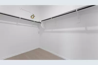 1008 Chestnut Drive, Lavon, TX 75166 - Photo 13