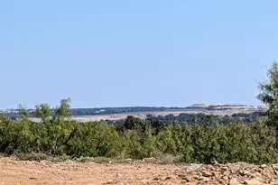 467 Weatherby Wy, Santo, TX 76472 - Photo 13