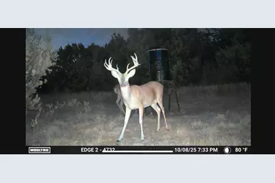 5106 Fm 51, Glen Rose, TX 76043 - Photo 3