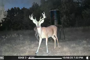 5106 FM 51, Glen Rose, TX 76043 - Photo 3