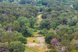 5106 FM 51, Glen Rose, TX 76043 - Photo 11