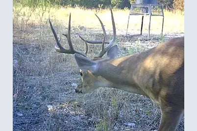 5106 Fm 51, Glen Rose, TX 76043 - Photo 5