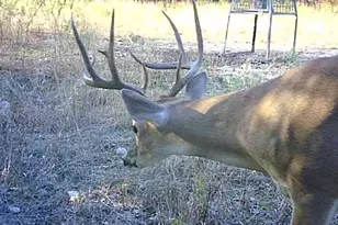 5106 FM 51, Glen Rose, TX 76043 - Photo 5