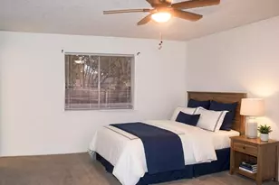 6205 Maple Springs Dr, Arlington, TX 76001 - Photo 11