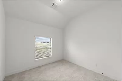 700 Valley Pines Drive, Anna, TX 75409 - Photo 17